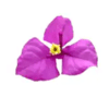 Numa Numa Resources (private) logo copy-1