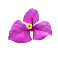 Numa Numa Resources (private) logo copy-1