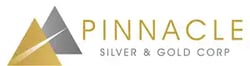 Pinnacle Silver & Gold Corp logo copy