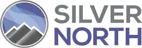 Silver North logo copy