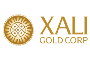 Xali Gold logo