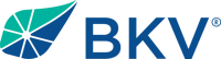 BKV Corporation (BKV) logo