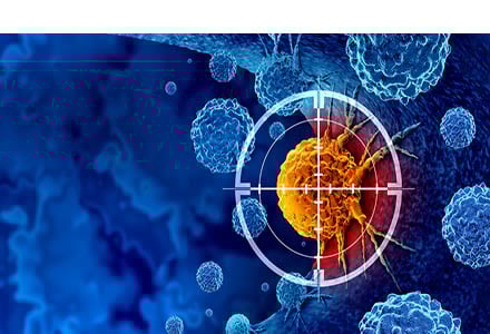 2-Dec-14-2024-08-17-56-7898-PM