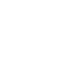 Take-Two Interactive Software, Inc. (TTWO) logo copy