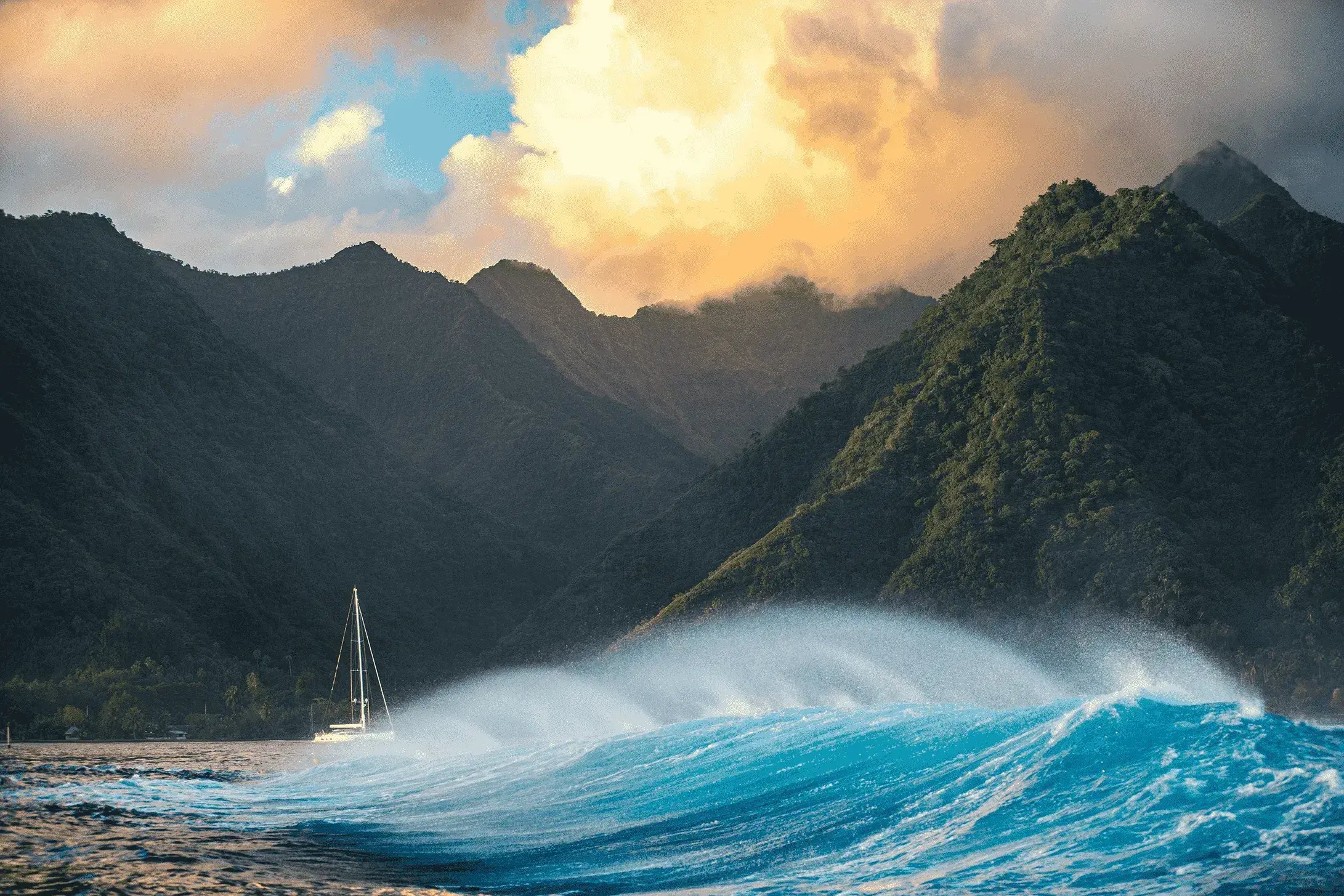 072124_Jones_homepage-image-min (1)