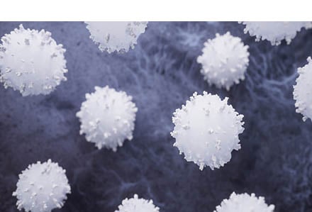 3-Dec-14-2024-08-17-56-8030-PM