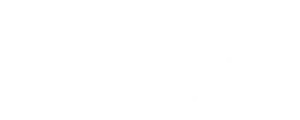 Arbe Robotics Ltd. (ARBE) logo white