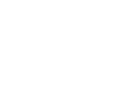Bioceres Crop Solutions Corp (BIOX) logo white