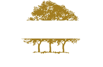 Canopy Growth Corp. (CGC) logo copy white