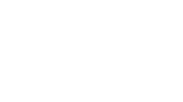 Netherland Sewell & Associates (PRIVATE) logo copy