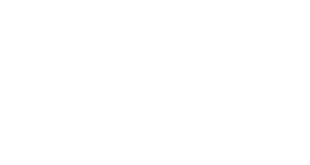 VieMed_logo-500-16-white