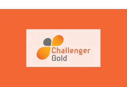 Challenger Gold Ltd. (ASX CEL)_Roth March 2025_Tile copy