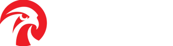 Falcons Beyond Global, Inc. (FBYD) logo white