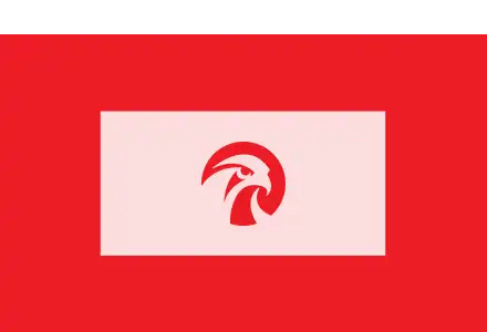 Falcons Beyond Global, Inc. (FBYD)_Roth March 2025_Tile copy