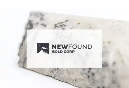 New Found Gold Corp. (NFGC)_Roth March 2025_Tile copy