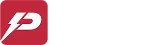 Pioneer Power Solutions, Inc. (PPSI) logo white copy