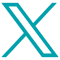 X-icon