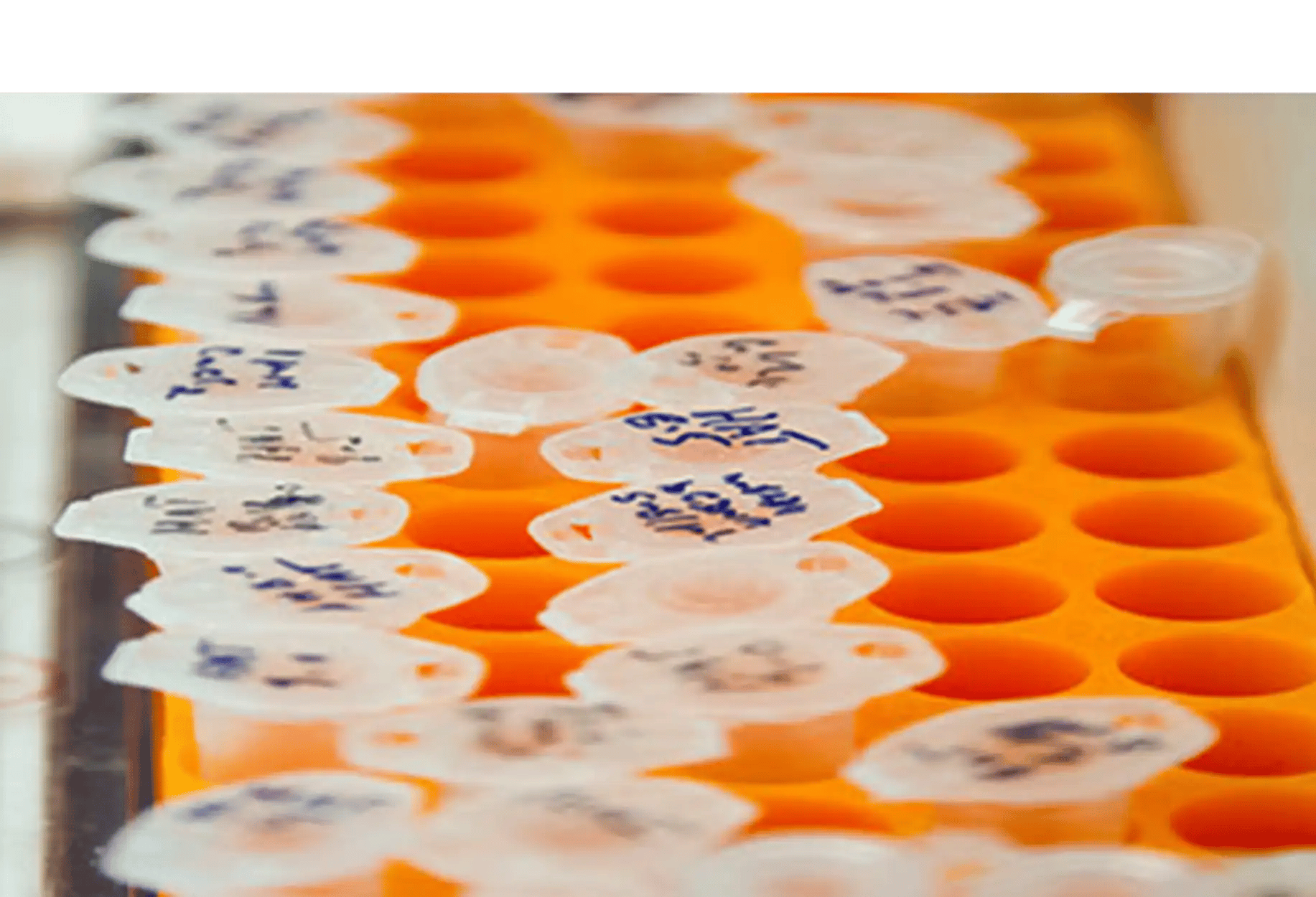 B2i Digital Featured Company_Allarity Therapeutics Inc_Nasdaq ALLR_Drug Response Predictor