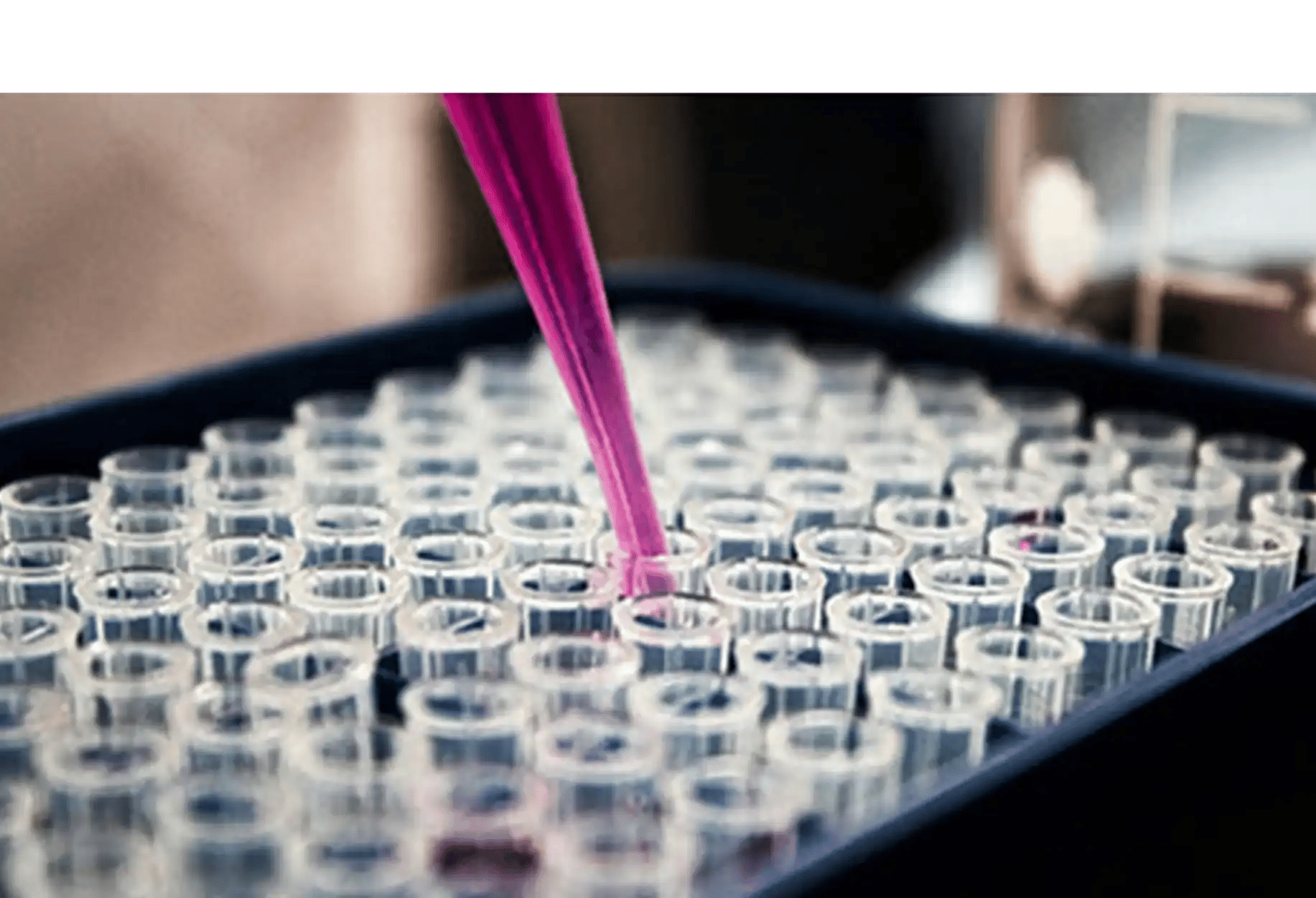 B2i Digital Featured Company_Allarity Therapeutics Inc_Nasdaq ALLR_Global Presence