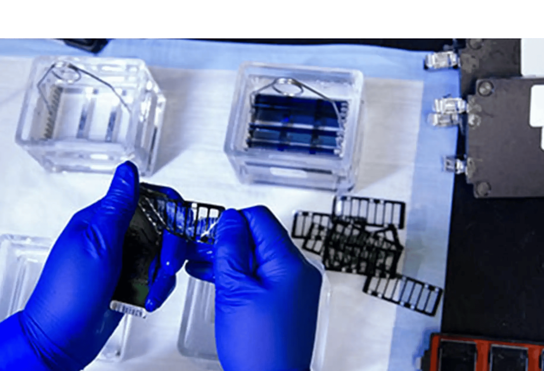 B2i Digital Featured Company_Allarity Therapeutics Inc_Nasdaq ALLR_Oncology