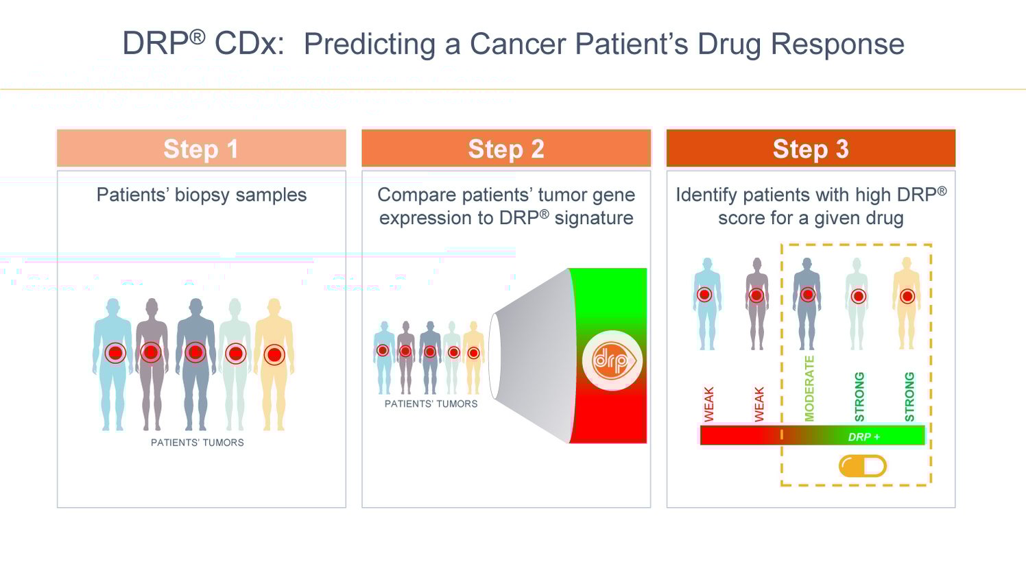 B2i-Digital-Featured-Company_Allarity-Therapeutics-Inc_Nasdaq-ALLR_Predicting-Cancer