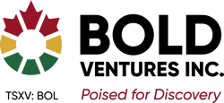 Bold Ventures, Inc. logo