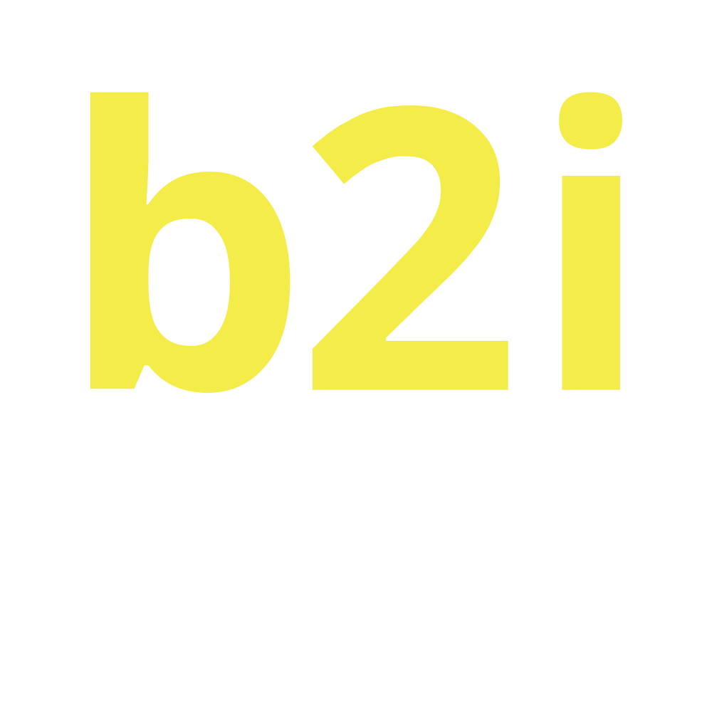B2i Digital - Connecting companies and investors