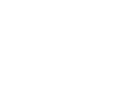 Dyadic International Inc. HiResLogo-white