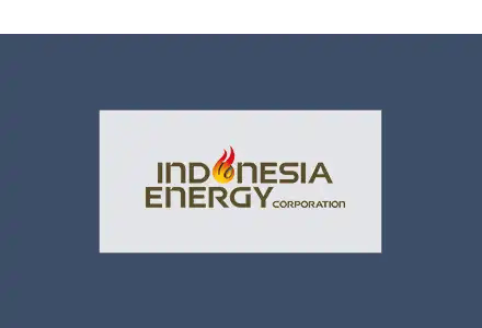 Indonesia Energy Corporation_DealFlow-Microcap-Con_Tile copy