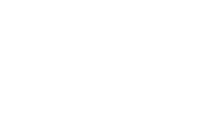 Fortress Biotech, Inc. (FBIO) logo white
