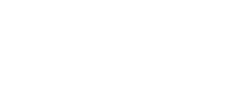 NSI Promotional Sponsor