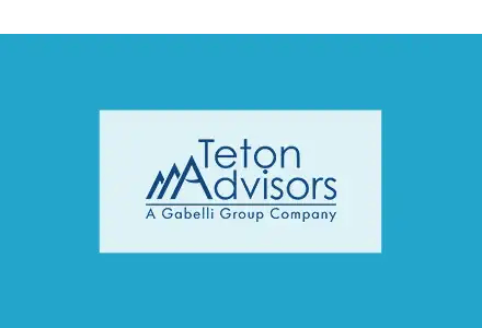 Teton Advisors Inc_DealFlow-Microcap-Con_Tile copy