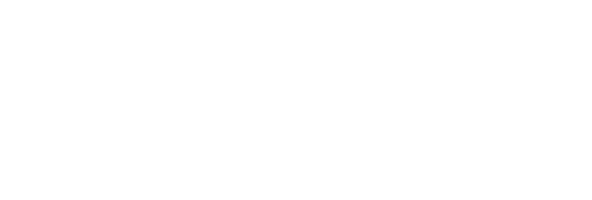 Dragonfly Energy Logo - White Text