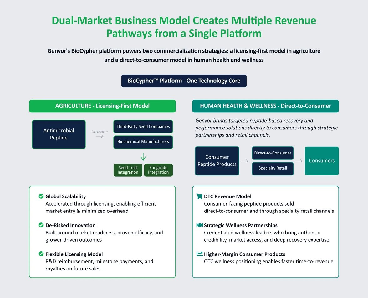 Dual-Market-Business-Model-Creates-Multiple-Revenue-Pathways-from-a-Single-Platform