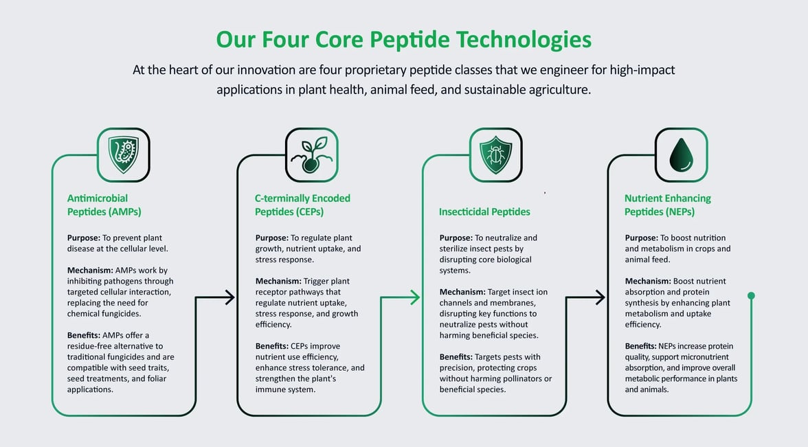 Our-Four-Core-Peptide-Technologies