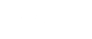 Valens VLN logo white logo whtie copy