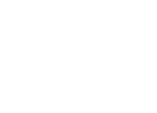 Lake_Logo_b2i