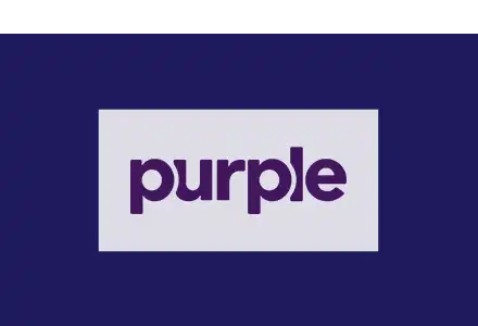 Purple Innovation, Inc. (PRPL)_12th-Deer-Valley-Event_Tile copy