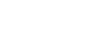 dmc logo white