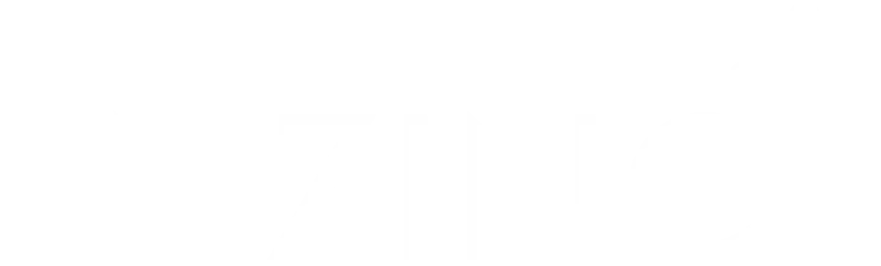 Enzinc-logo-white