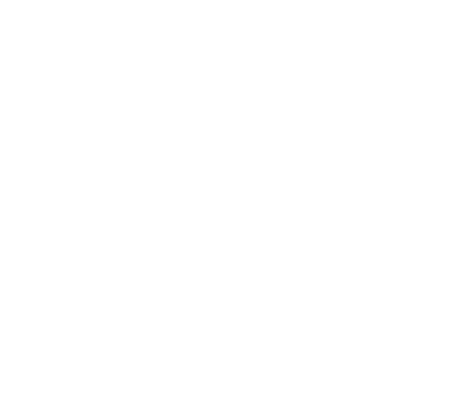 Waterwhelm logo white