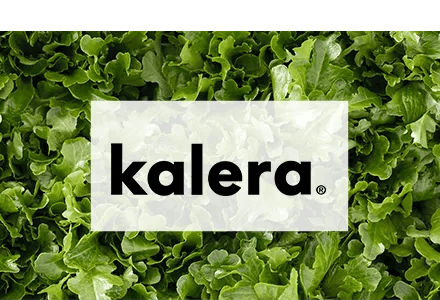 Roth-London-Tile-Kalera