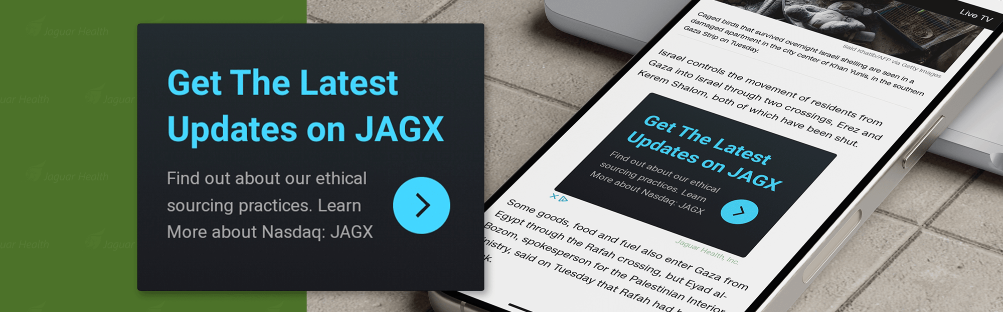 Jaguar-Mockup-Desktop-Google-Display-1