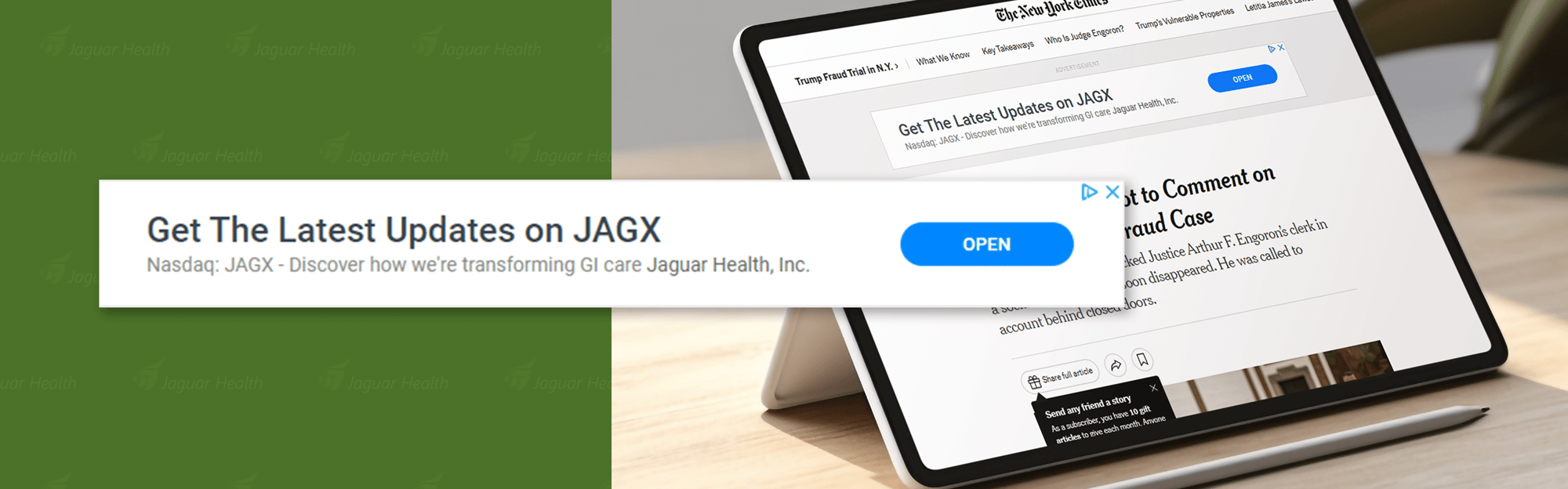 Jaguar-Mockup-Desktop-Google-Display-3