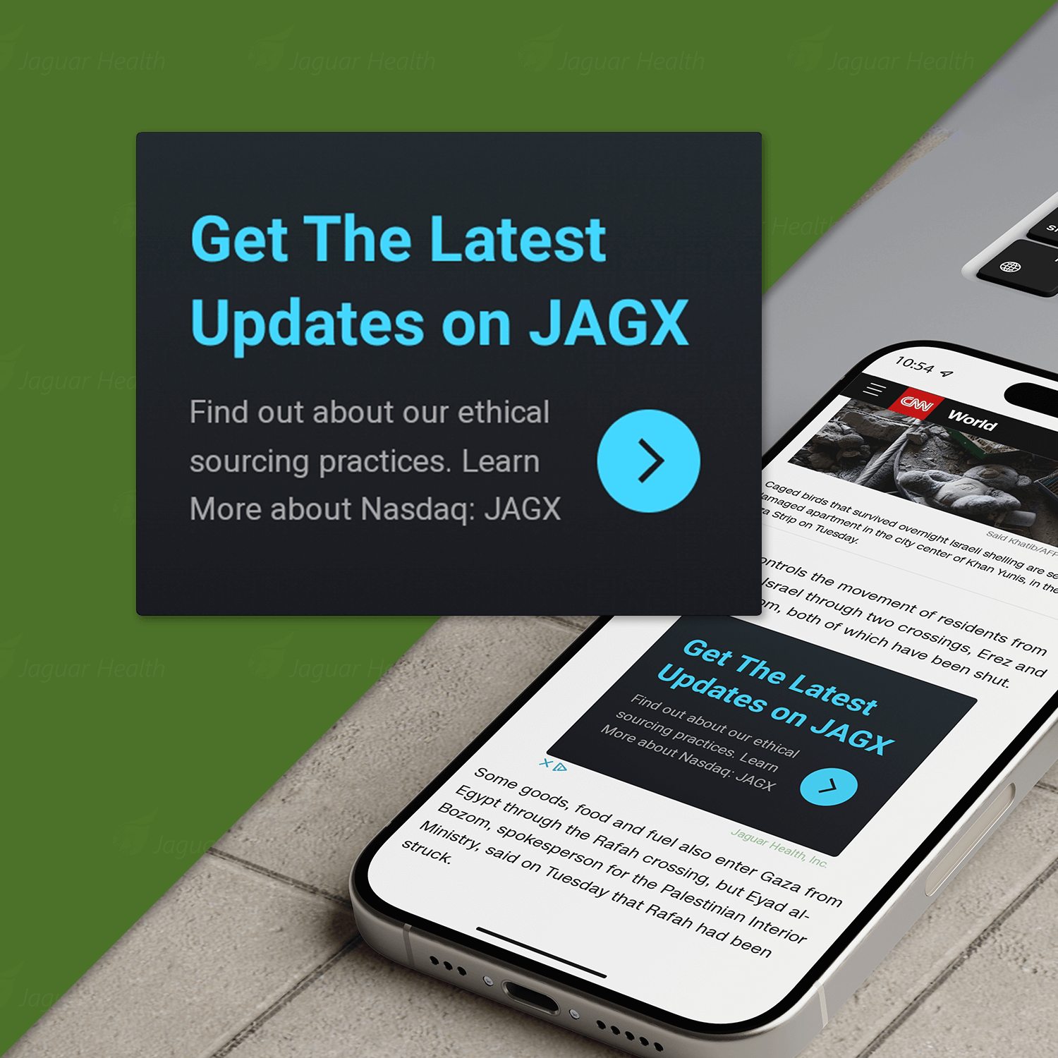 Jaguar-Mockup-Mobile-Google-Display-1