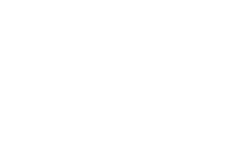 top-ships-logo-white