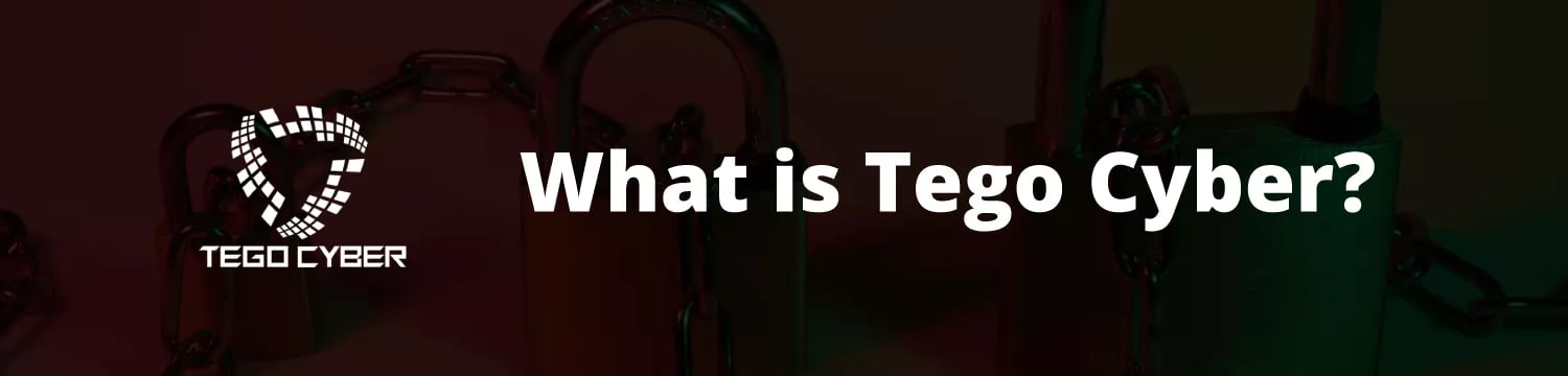 what-is-tego-cyber