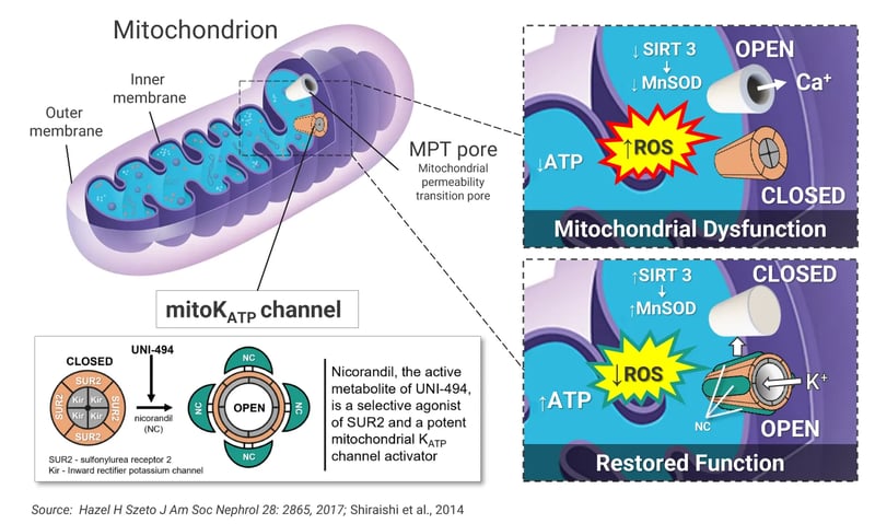 Applied Energetics on b2i Digital