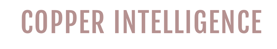 Copper Intelligence Inc Image logo