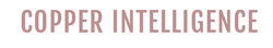 Copper Intelligence Inc Image logo